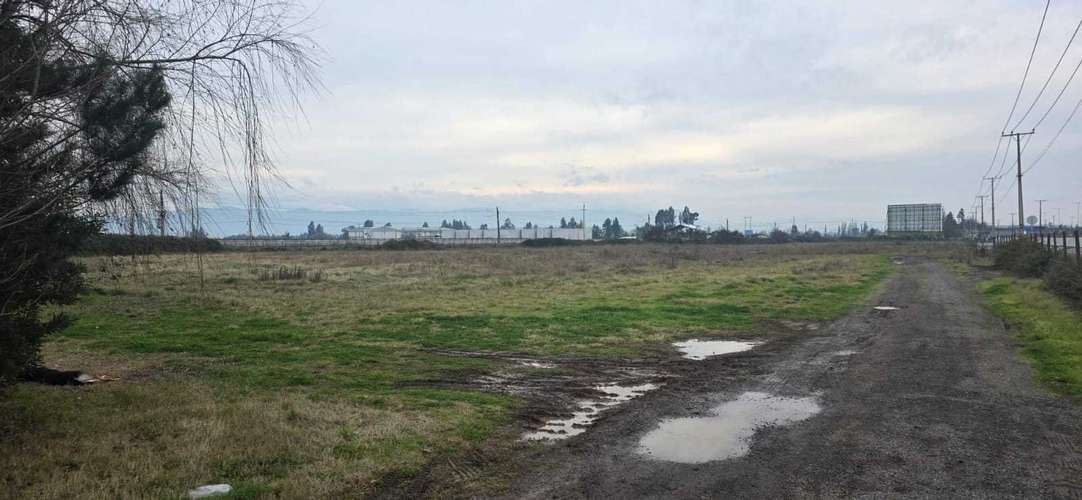 Inversión terreno comercial cruce quinta 5.000m2 (176267) - Imagen 11