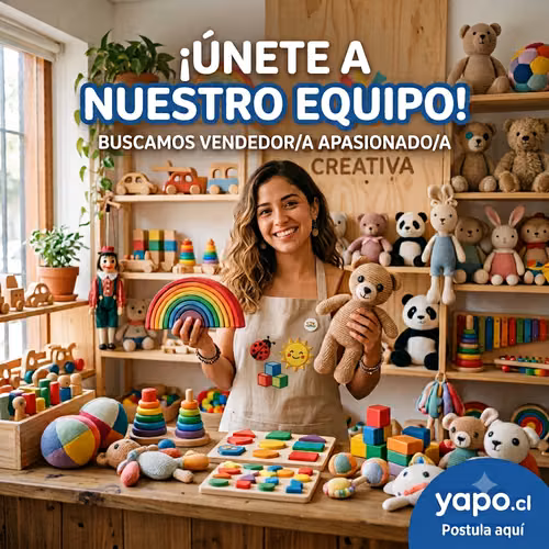 Vendedora juguetería full time