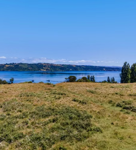 2 PARCELAS EN VENTA CURACO DE VÉLEZ