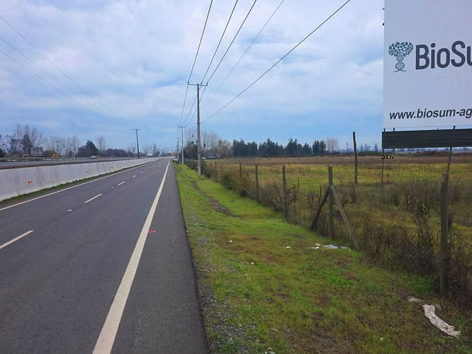 Cruce quinta, 6.350m2, terreno comercial (176329)