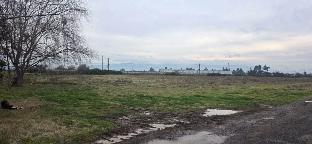 Cruce quinta, 6.350m2, terreno comercial (176331)