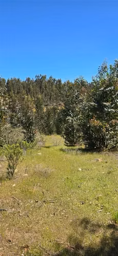 PARCELAS A 35 MIN DE PICHILEMU ROL PROPIO A 10 MIN RUTA I-90