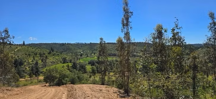 PARCELAS A 35 MIN DE PICHILEMU ROL PROPIO A 10 MIN RUTA I-90