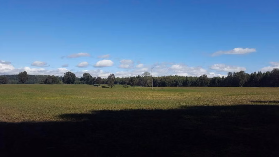 VENDO PARCELA DE AGRADO EN QUILACO BIO BIO - SECTOR SAN RAMÓN!*