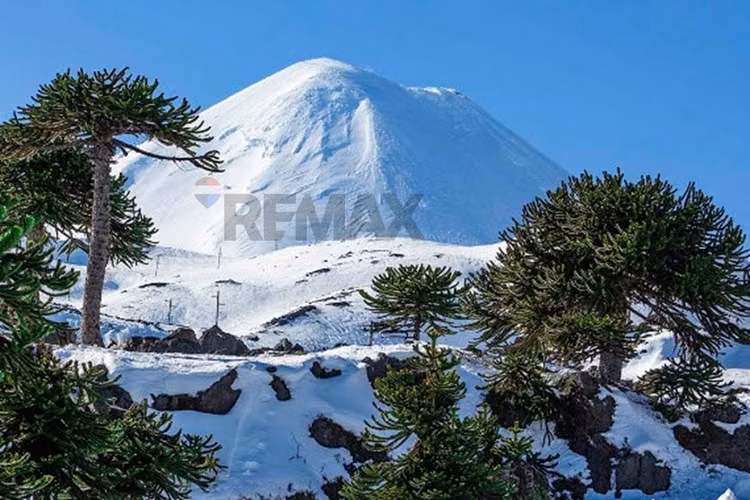 Se vende parcela, paraiso llaima, cherquenco