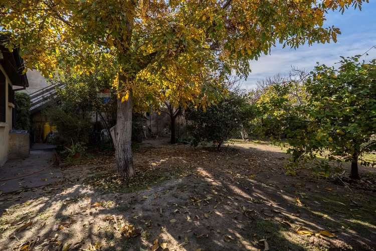 Más de 1.000 m² para invertir en la reina