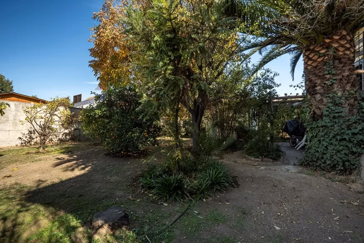 Más de 1.000 m² para invertir en la reina
