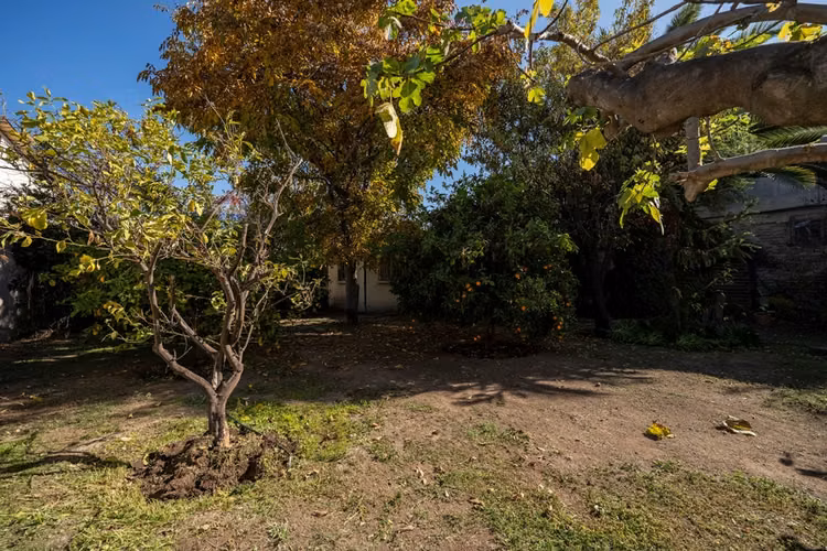 Más de 1.000 m² para invertir en la reina