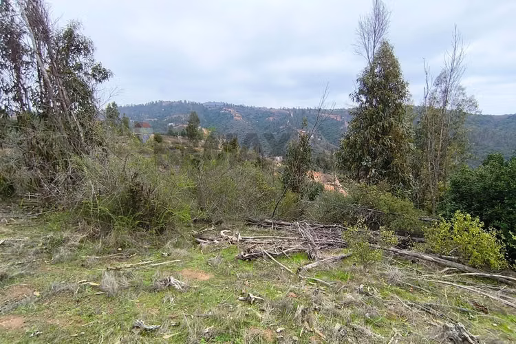 Parcela de agrado en entorno natural