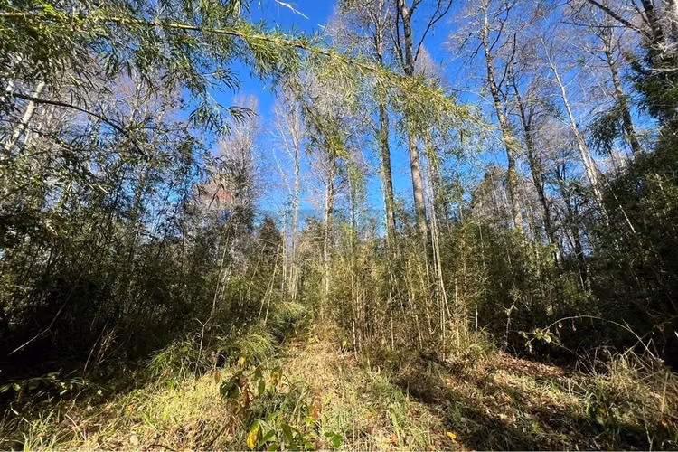 Oportunidad venta 1 ha en menetue