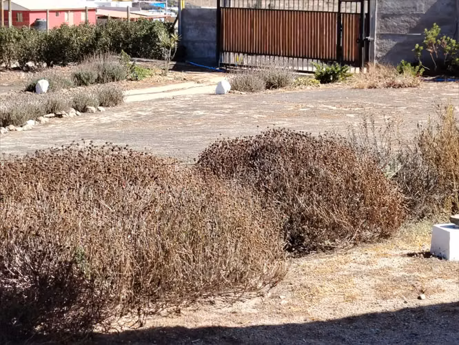 VENTA DE PARCELA EL ROSARIO VALLE DEL ELQUI