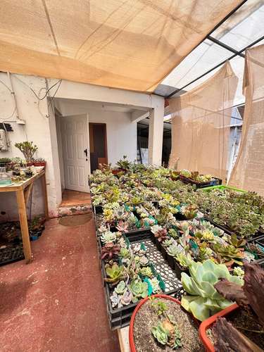 Casa + 3 Deptos. Interiores, Renta Activa – Maipú $ - Imagen 5