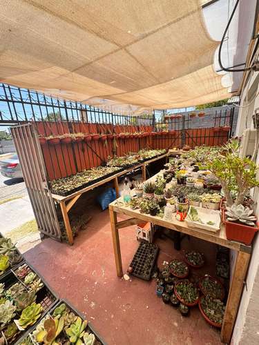Casa + 3 Deptos. Interiores, Renta Activa – Maipú $ - Imagen 13