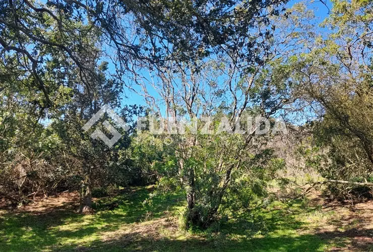 Terreno Construccion en venta en Quintero