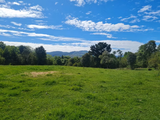 Se Vende Extraordinario Terreno de 3,7 Hectáreas en Santa Elvira, Valdivia