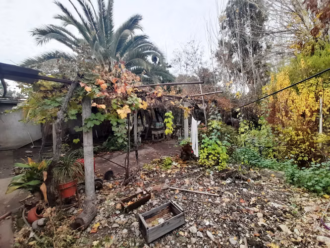Venta Casa La Punta Mostazal 5 dorm amplio terreno - Imagen 10