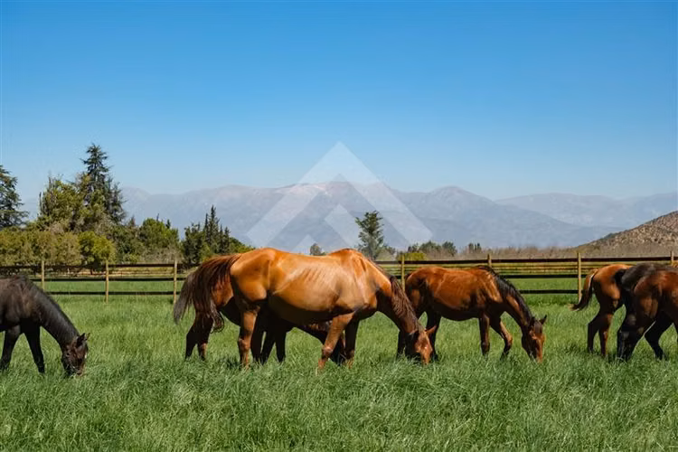 Parcela en venta en Paine, ERZ