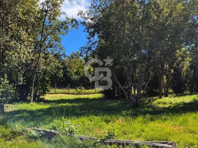 Parcela de 5.000 m² con vista al Volcán Villarrica