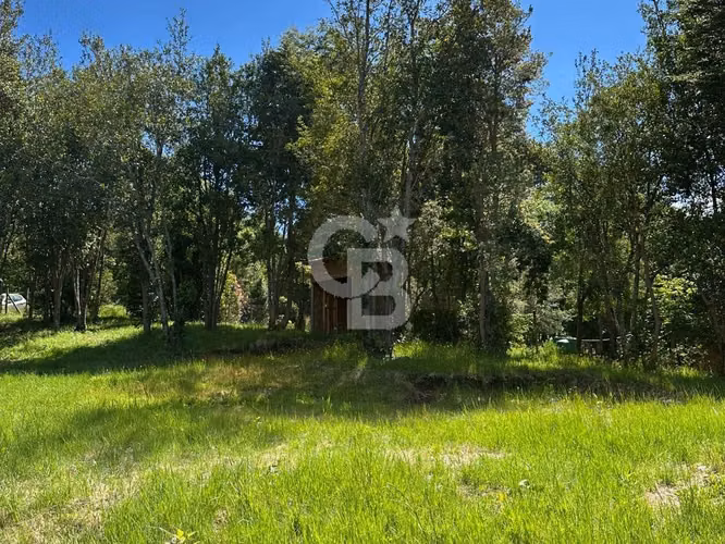 Parcela de 5.000 m² con vista al Volcán Villarrica