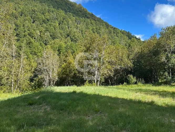 Parcela de 5.000 m² con vista al Volcán Villarrica