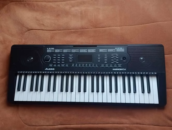 Teclado Alesis Harmony 54 – Como nuevo + Funda acolchada
