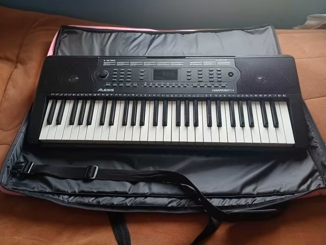 Teclado Alesis Harmony 54 – Como nuevo + Funda acolchada
