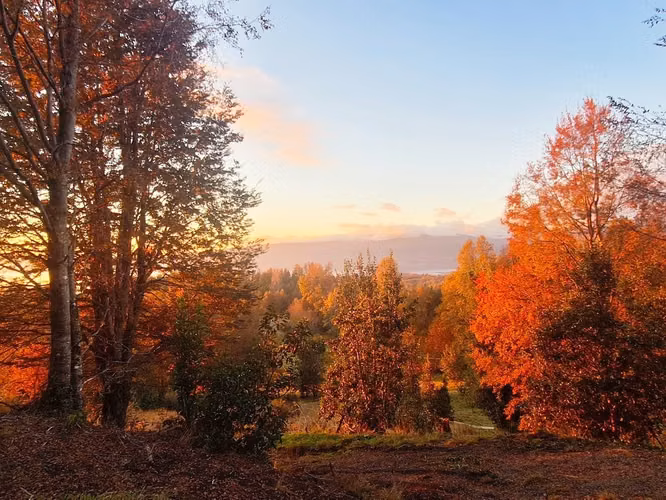 Fantasticas parcelas con espectaculares vistas al lago Villarrica!