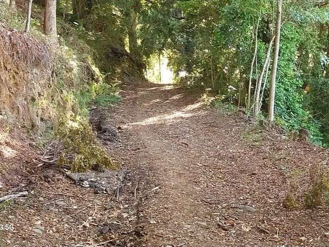 Impresionante propiedad, sólo 4 km antes de Villarrica