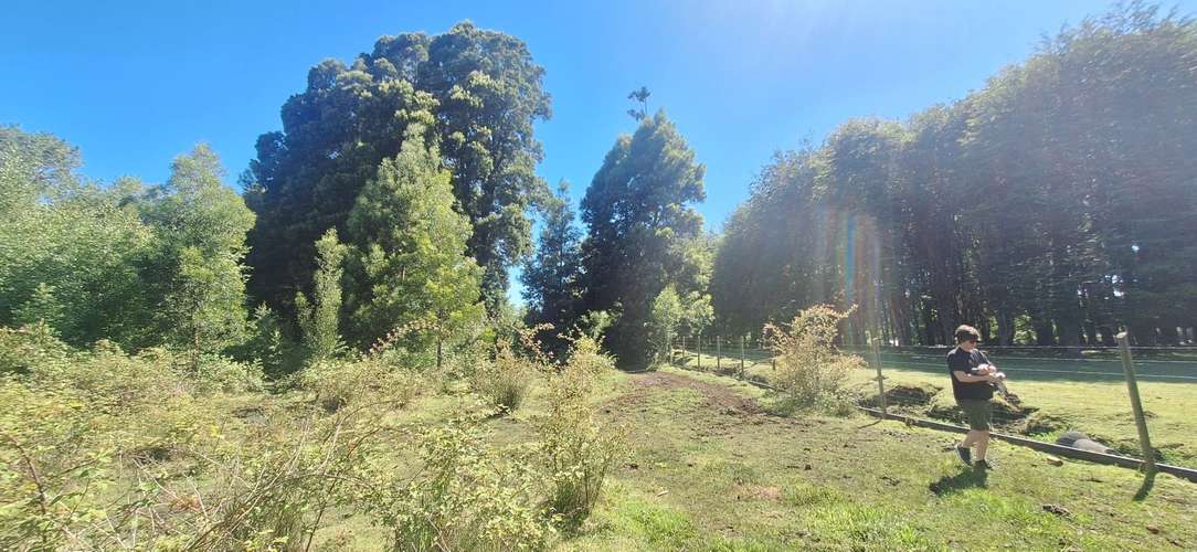 Impresionante propiedad, sólo 4 km antes de Villarrica