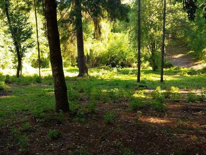 Impresionante propiedad, sólo 4 km antes de Villarrica