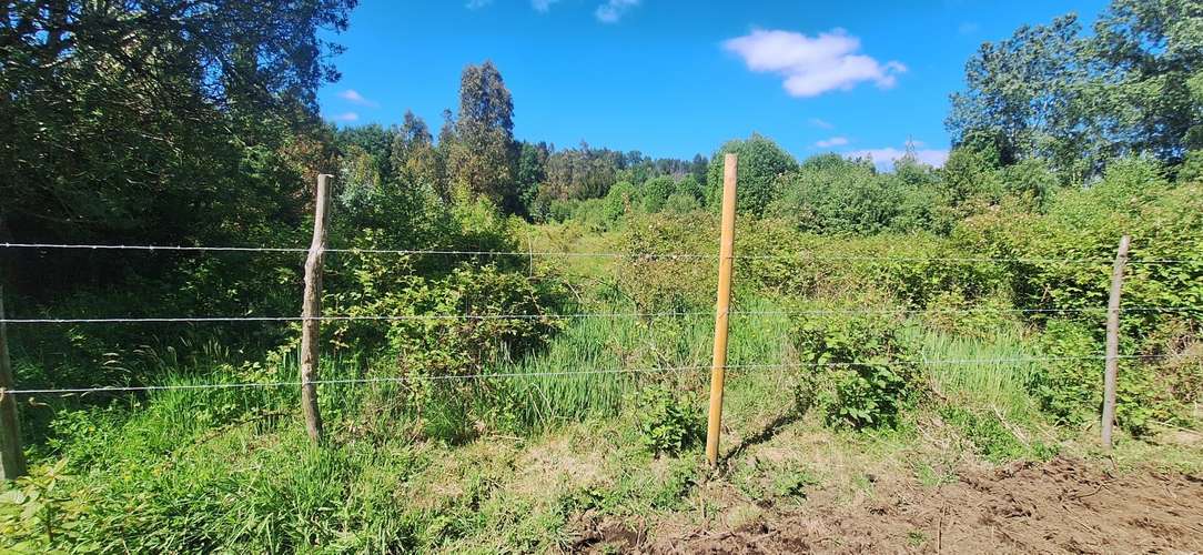 Impresionante propiedad, sólo 4 km antes de Villarrica