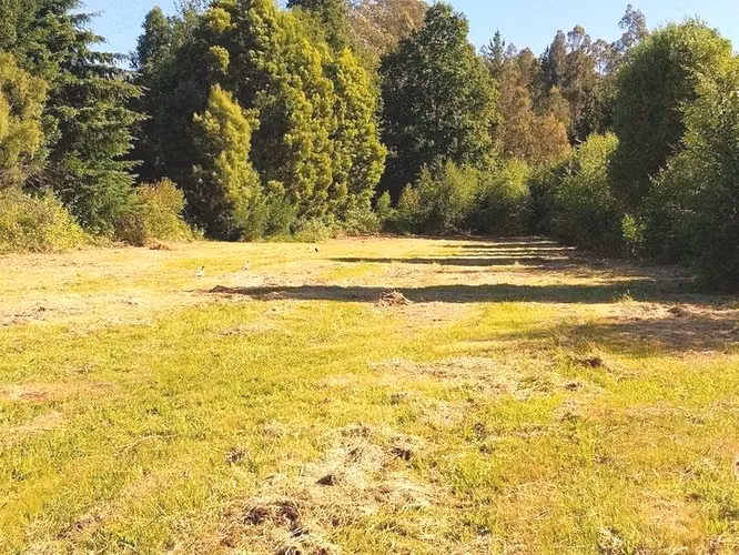 Impresionante propiedad, sólo 4 km antes de Villarrica