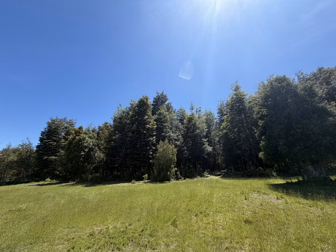 3 Parcelas en Venta – Condominio La Reserva de Pucón - Imagen 3