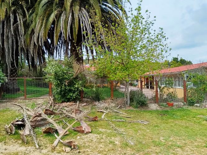Gran Oportunidad, Terreno de 53 Hectareas en San Pedro de Melipilla