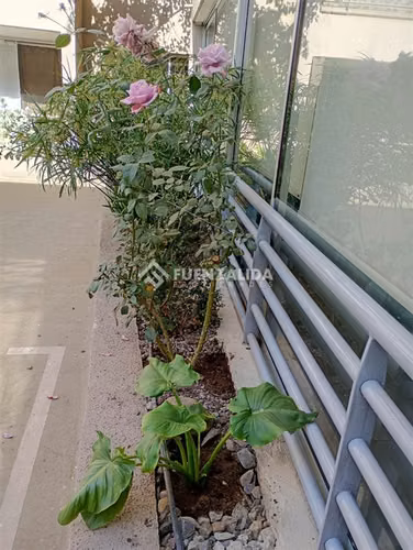 Venta Departamento Santiago 2 dormitorios 2 Estacionamientos