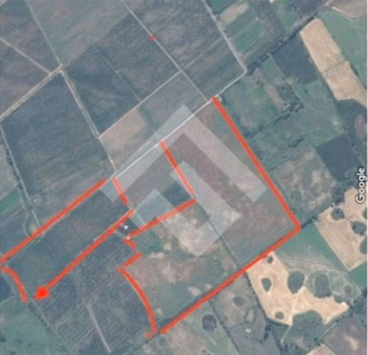 Terreno agrícola 40 hectáreas en venta en Teno, Curicó, ERZ