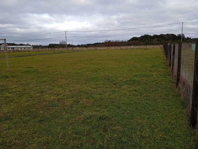 Inversión Segura en Entorno Tranquilo (176585)