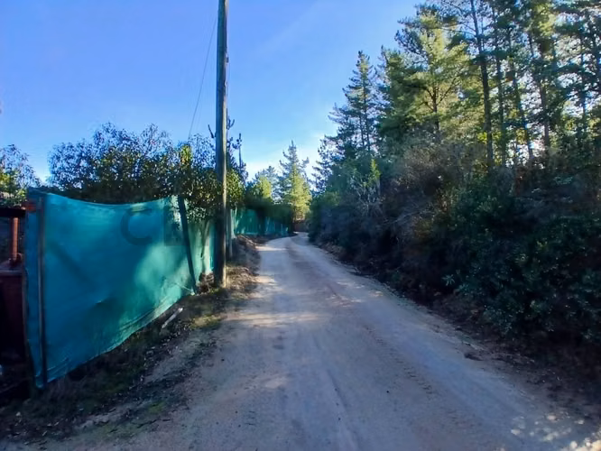 Parcela amoblada en Venta, Terrazas de Pitama, Casablanca
