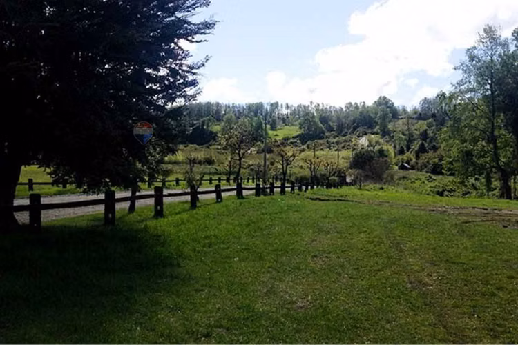 Terrenos de inversión en lago ranco.desde 5000uf.