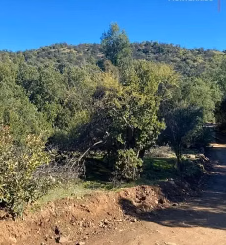 SITIO Terreno en VENTA La Punta, San Francisco de Mostazal