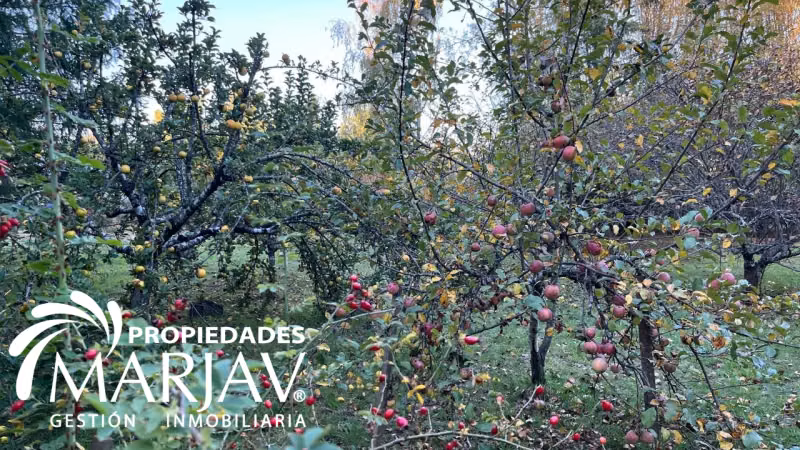 Casa preciosa inmersa en la naturaleza