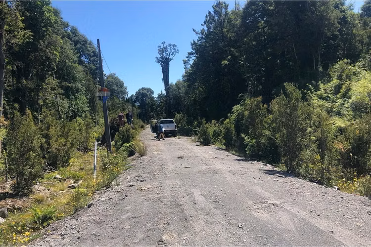 Terreno 5.000 mts, puerto varas