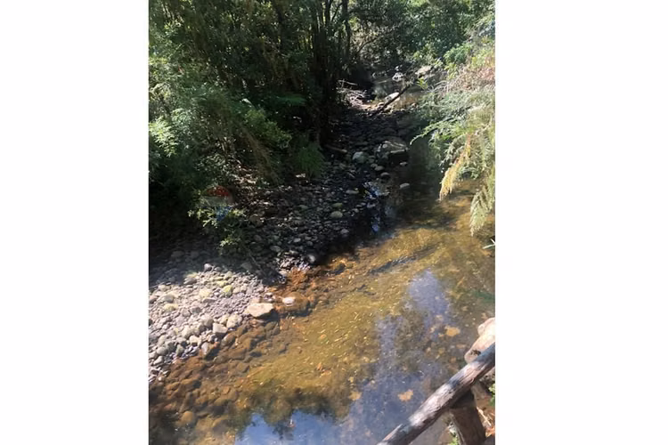 Terreno 5.000 mts, puerto varas