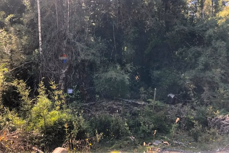 Terreno 5.000 mts, puerto varas