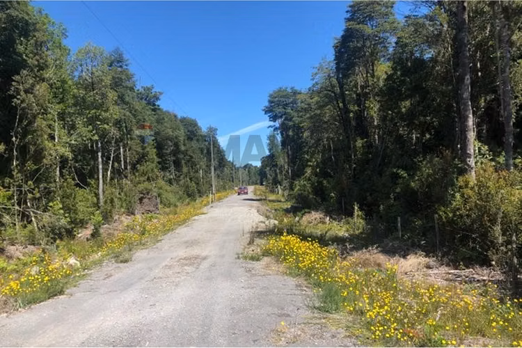 Terreno 5.000 mts, puerto varas