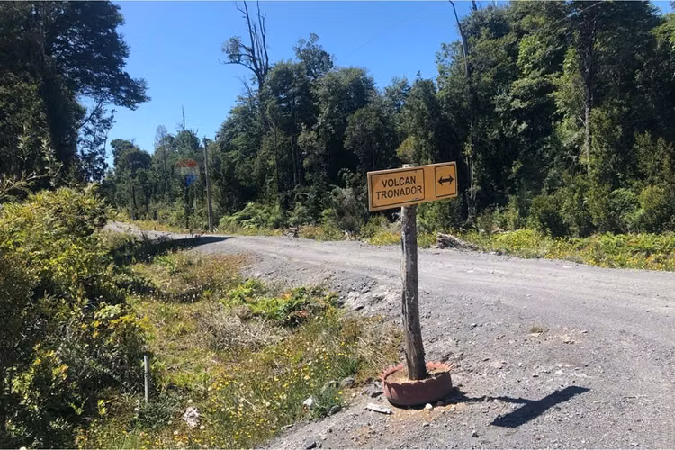Terreno 5.000 mts, puerto varas