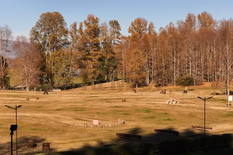 Venta terreno 5.000 mts2 villarrica -pucón