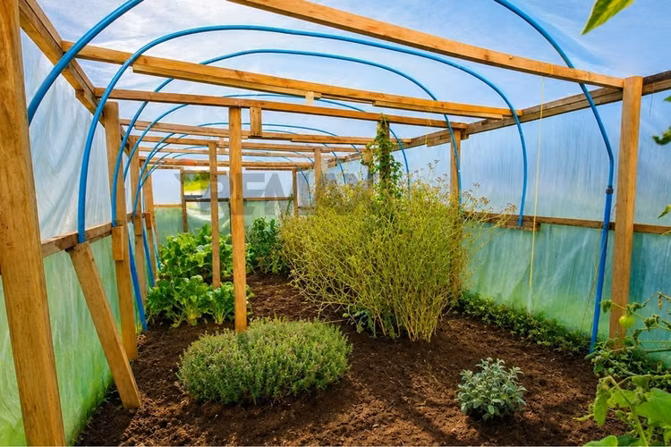 Quillaipe: paraíso agrícola patagónico - Imagen 27