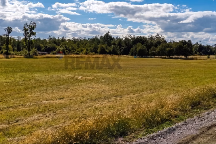 Prime land opportunity | hitschfeld, puerto octay - Imagen 11