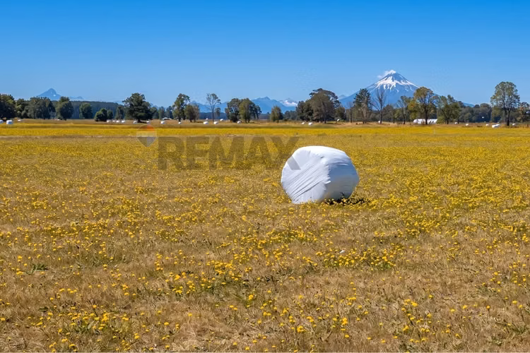 Prime land opportunity | hitschfeld, puerto octay - Imagen 6